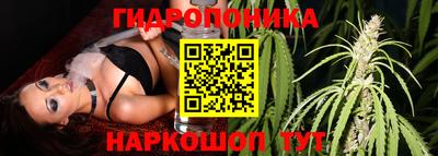 PSILOCYBIN Ипатово