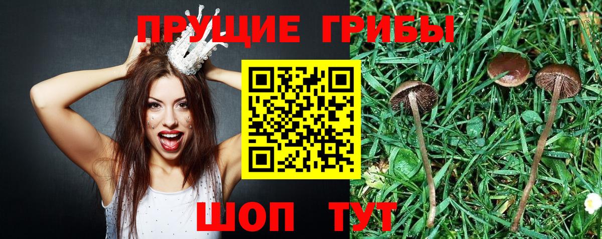 Галлюциногенные грибы мицелий Краснотурьинск