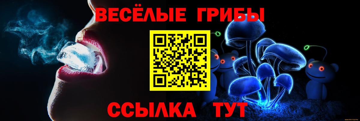 Псилоцибиновые грибы прущие грибы  Псилоцибиновые грибы Psilocybe  Вход с VPN  Краснотурьинск 